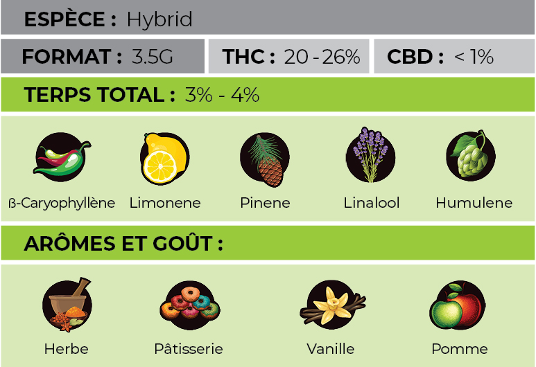 Versaille-Apple-Fritter-Info