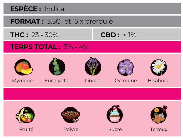 Avignon-Cereal-Mac-Info