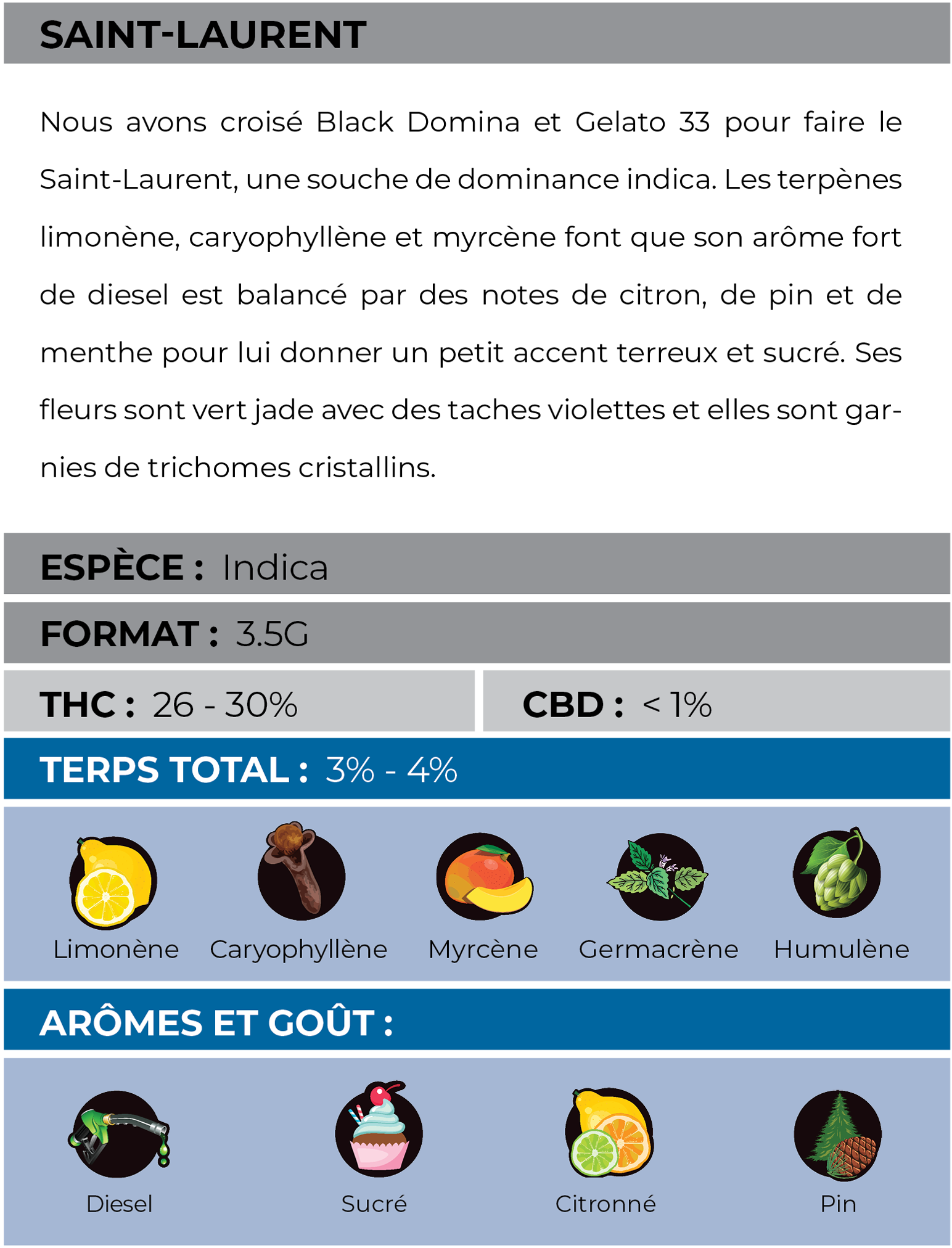 Saint-Laurent-Larry-Black-Info